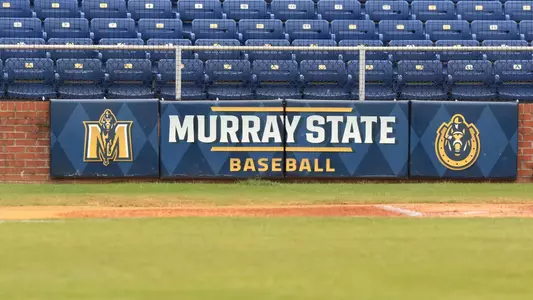 Baseball Sign