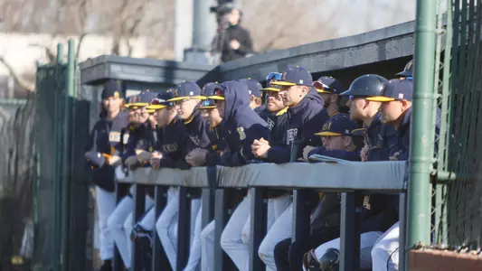 Baseball Bench