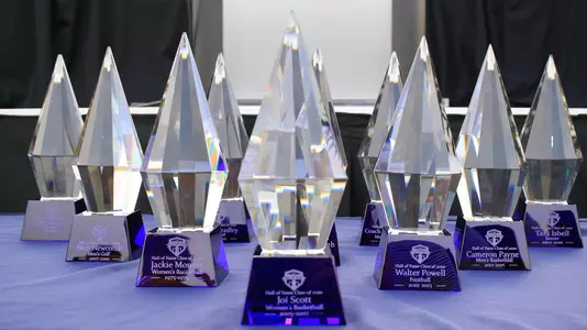 2020 MSU Hall of Fame Awards
