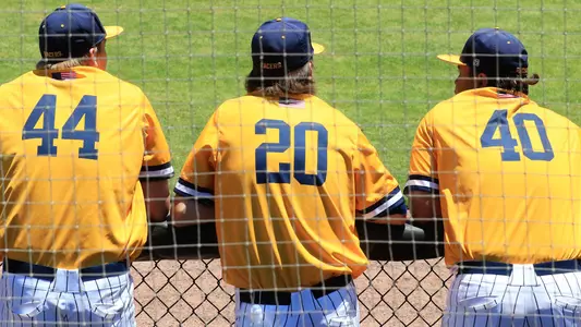 Murray State Baseball