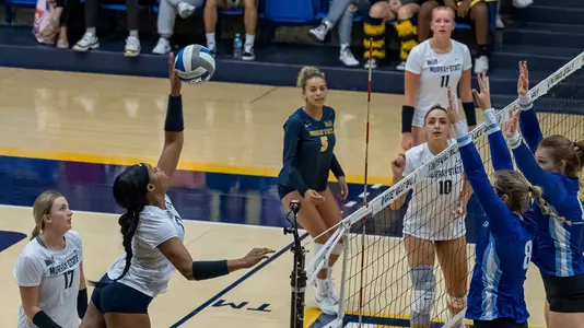 (c) 2022 David Eaton