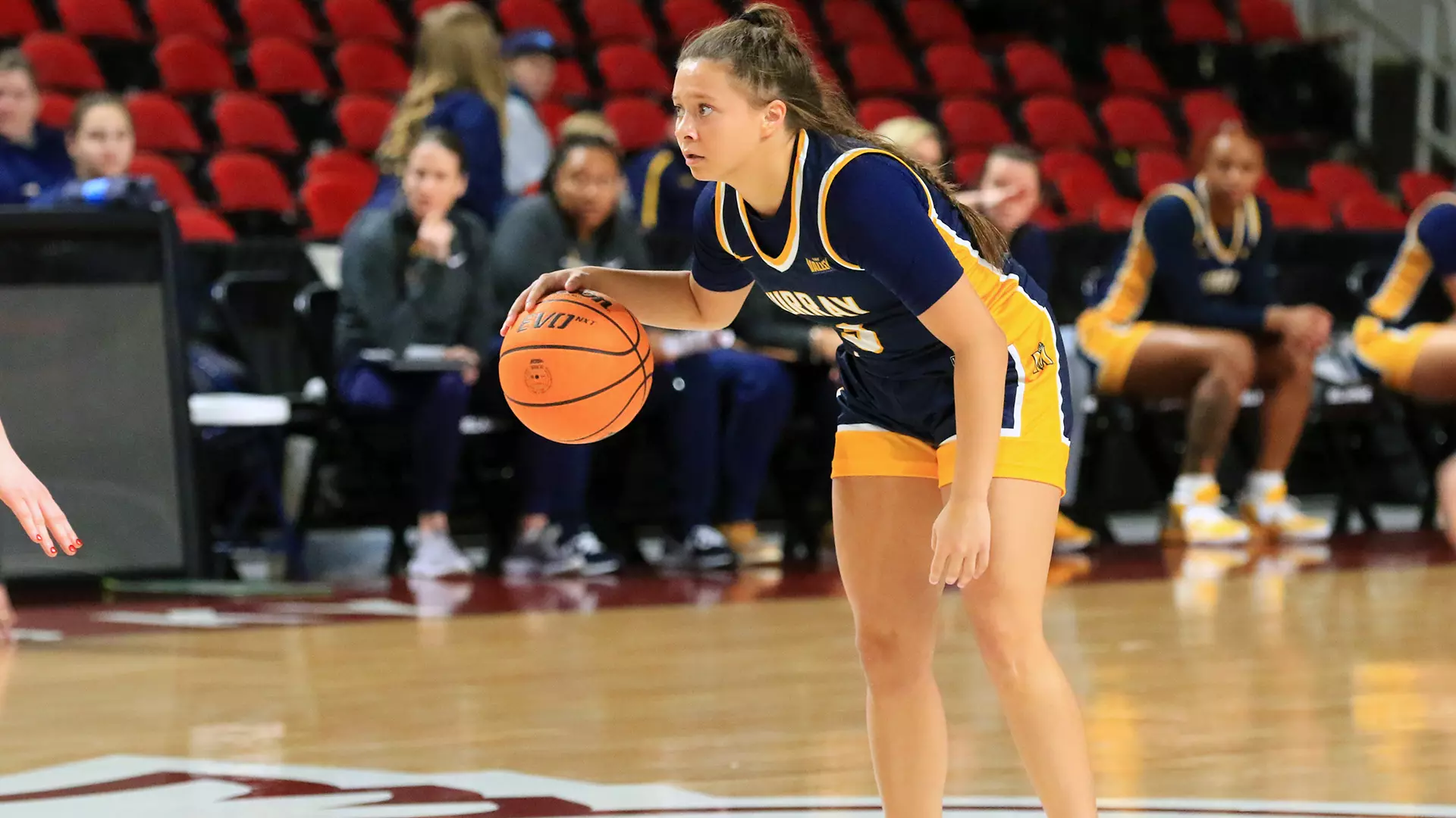 Murray State Women's Basketball at Bellarmine