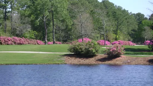 Gulf Shores Golf Club