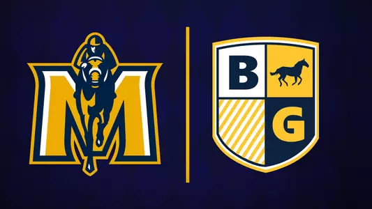 Blue & Gold Standard