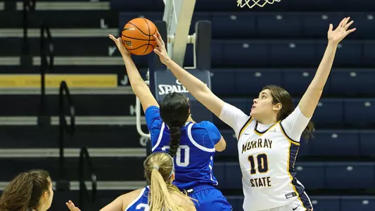 (c) 2023 David Eaton