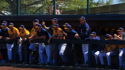 2023 Baseball