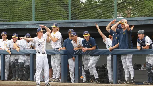 Baseball Bench