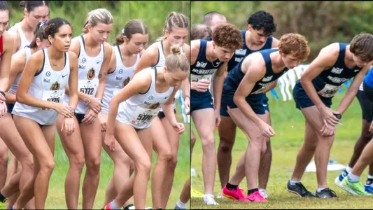 XC