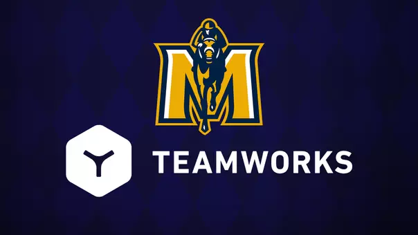 Teamworks