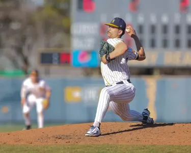 Nic Schutte