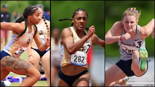 Taylor_Bostick_Johnston