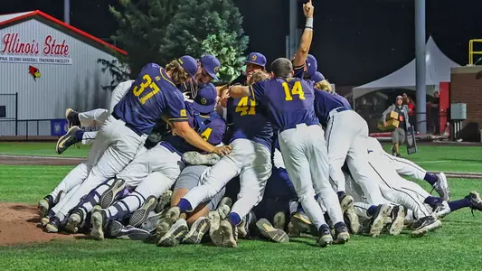 Baseball Dog Pile