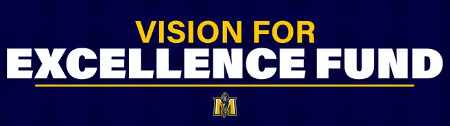 Vision For Excellence Fund