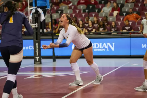 vb