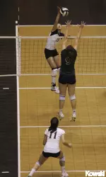 Weiwen Wang has 18 kills today