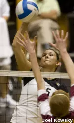 Catie Wilson led Tigers with 12 kills