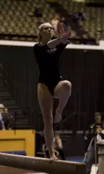 Boehmer notched a 9.775 on beam, her third highest score in 2008