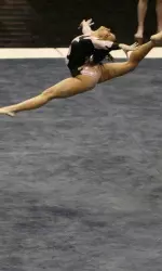 Senior Adrianne Perry scored a 9.850 on vault and a 9.825 on floor for the Tigers.