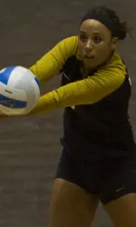 <i>Caitlyn Vann finished with a career-best 38 digs, the best single match total by a Tigers since 1985.</i>