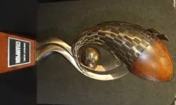 2010 Insight Bowl championship trophy