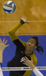 <i>Paola Ampudia</i>