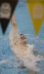 Missouri Tigers