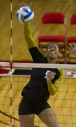 <i>Paola Ampudia led Mizzou with 15 kills in the loss.</i>