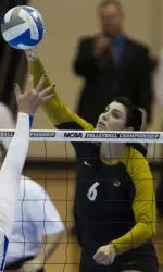 <i>Klein etched her name in the Tiger record books in her five years with the program.</i>