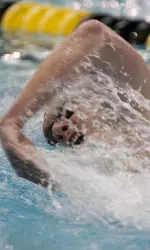 The men's swimming and diving had an impressive showing at this year's Southwest Plunge