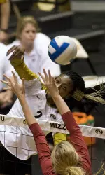 <i>Brittney Brimmage had nine kills on senior night.</i>