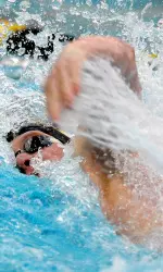 Tigers meet NCAA qualifying standards in two events.