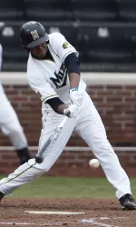 <i>Blake Brown homered for the third straight game on Sunday. He is the first Tiger to do since Greg Folgia in 2009.</i>