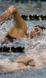 Tiger's swim to success on the first day of a two day meet.