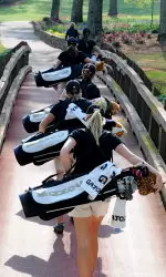 Mizzou placed second at the Cardinal Cup.