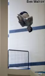 The Tigers return to the pool on Thursday, Oct. 17 at 2 p.m.