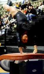 Updike posted a 9.825 on beam and a 9.850 on vault at the 2013 NCAA Norman Regional.