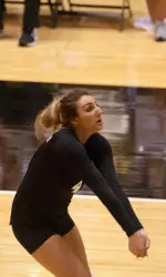 <i>Sarah Meister</i>