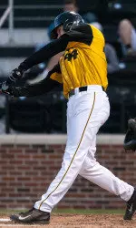 <i>Eric Anderson had two hits and a double in the loss.</i>