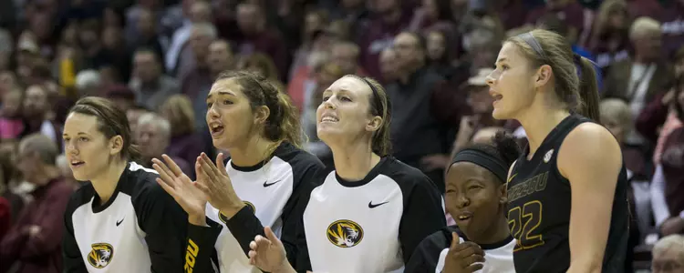 WBB Bench at Missouri State 2015 Banner