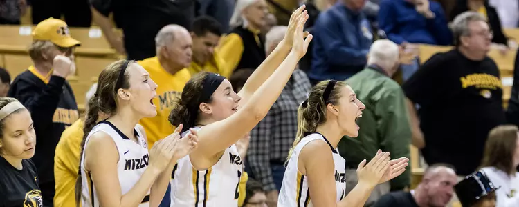 Stock Michaelis Cunningham bench celebration