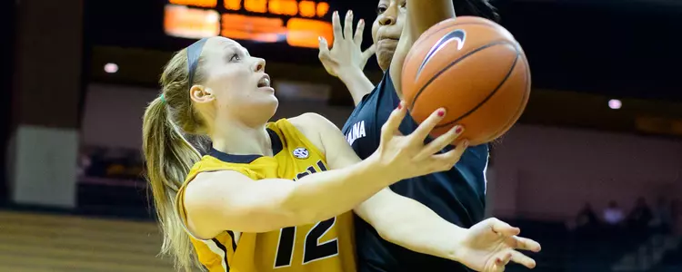 Hudyn South Carolina Banner