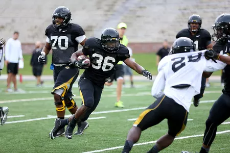 #MIZCamp