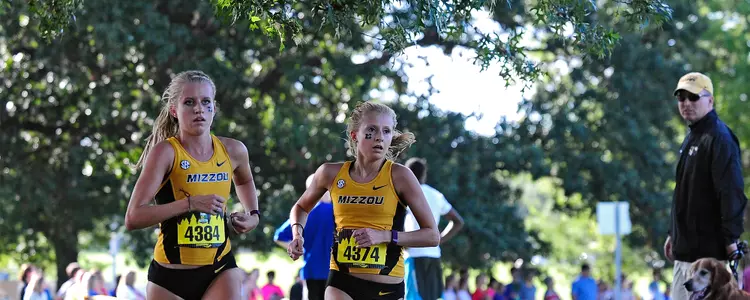 Schweizer Fischer Banner