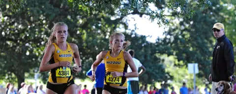 Schweizer Fischer Banner