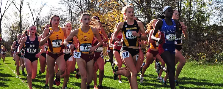 Karissa Head of the pack banner