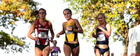 Schweizer at SECs Banner