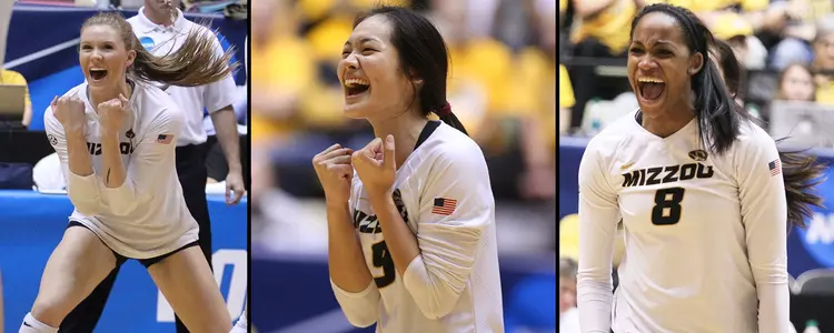 2016 VB All-Americans MUTigers.com Graphic