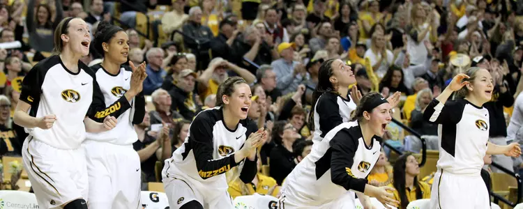 Bench Vanderbilt 2016 banner