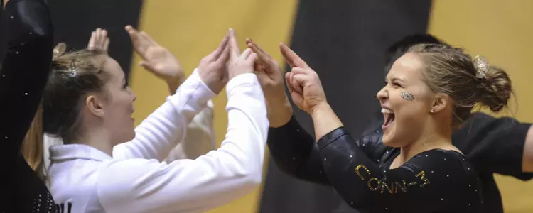 Gymnastics