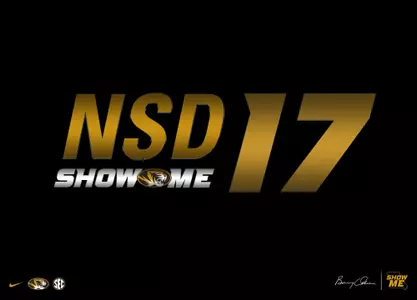 #MIZNSD17